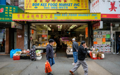 chinatown manhattan nyc magasins