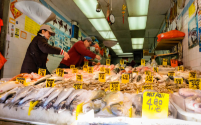chinatown manhattan magasin de poisson