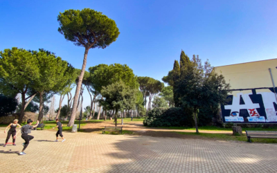 visite guidee rome en francais pigneto energies park