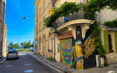 visite guidée insolite de bordeaux à vélo st michel amo perroquet