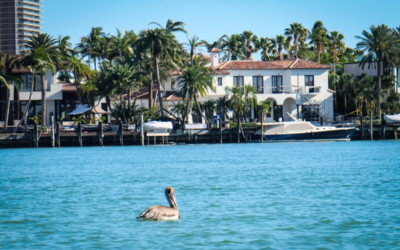 bateau croisière miami beach tour