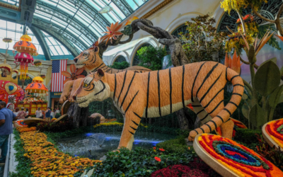strip visites guidées las vegas en français bellagio
