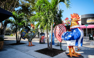 little havana visites guidées miami en français coq poulet