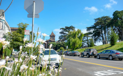 visite guidée san francisco en français painted ladies