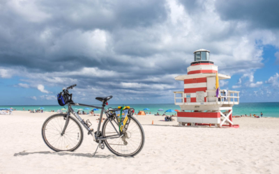 cabane lifeguard miami beach velo