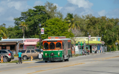 little haiti visites guidées miami