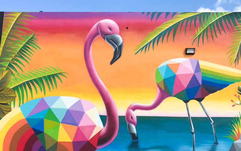 wynwood visites guidées miami en français flamants rose
