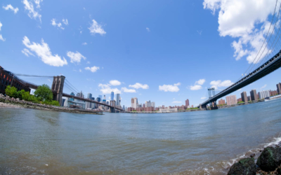 brooklyn bridge park vue sur les ponts