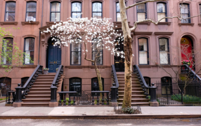 brooklyn heights visite guidée