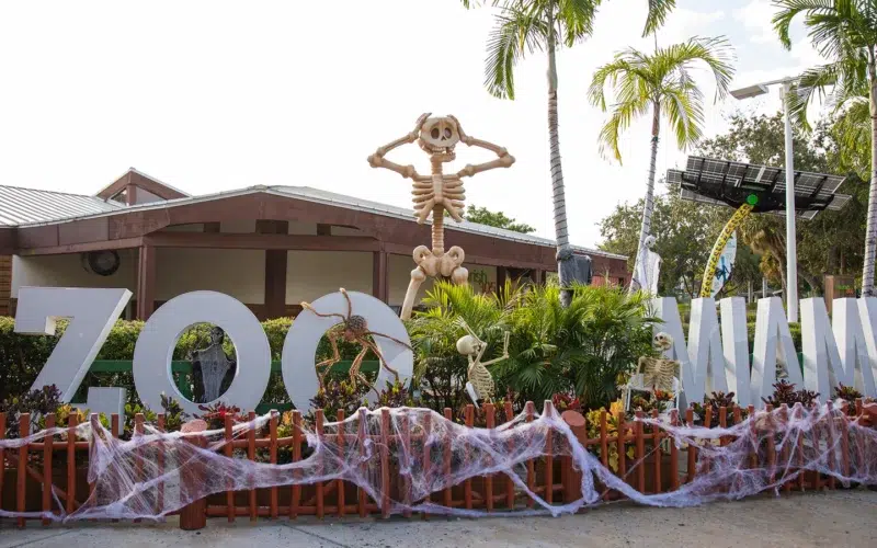 Zoo Boo Zoo Miami