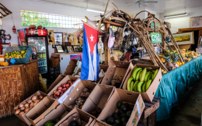 Marché de Little Havana