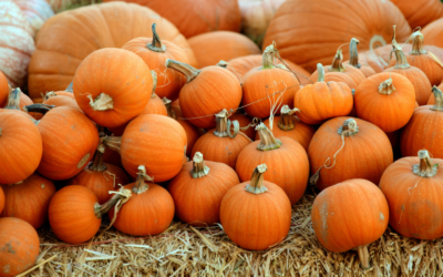 Clancy's Pumpkin Patch à San Francisco