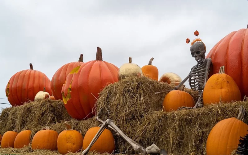 Half Moon Bay Art & Pumpkin Festival