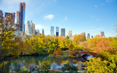 central park à vélo découvrir visite guidée new york en français automne