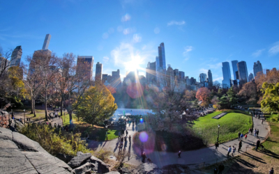 central park à vélo découvrir visite guidée new york en français soleil