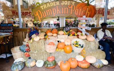 visite guidée new york en francais halloween citrouille trader joe