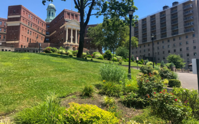 visite guidée en français new york bronx