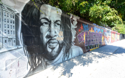 visite guidée en français new york bronx street art