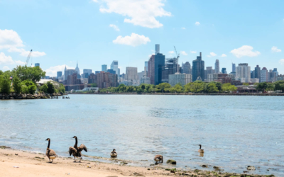 visite guidee new york en français queens east river oies