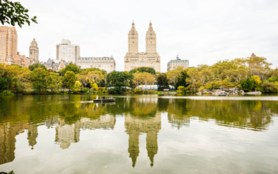 automne central park visite guidee new york en français
