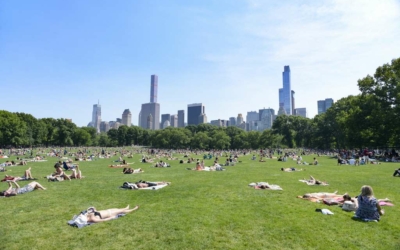 bronzage central park visite guidee new york en français