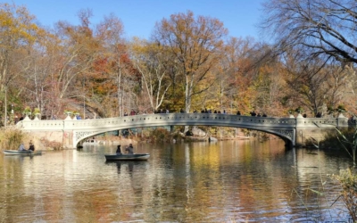 visite guidee new york en français barque amoureux central park