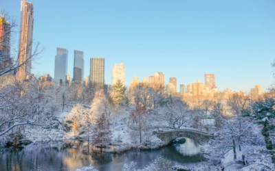 visite guidee new york en français central park neige hiver