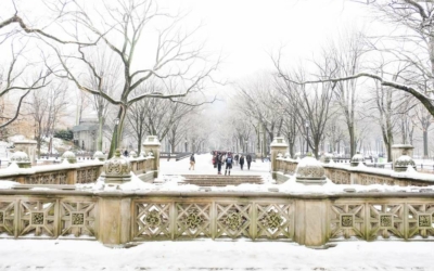 visite guidee new york en français central park neige