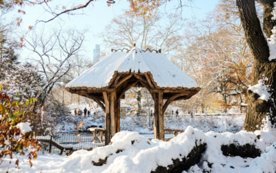 visite guidee new york en français photo neige central park