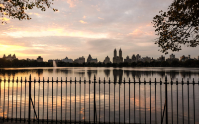 visite guidee new york en français central park soir
