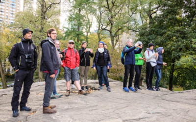visite guidee new york en français groupe vue sur rocher central park