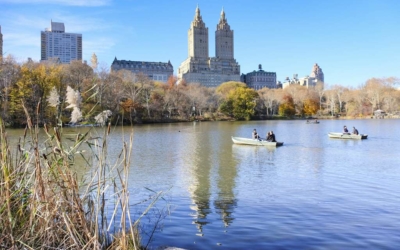 visite guidee new york en français barque lac central park