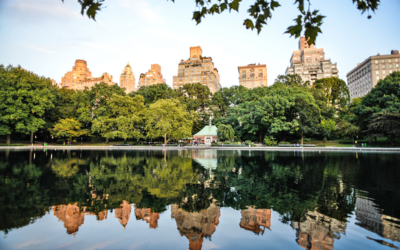 reveil musculaire yoga central park visite guidée en français new york