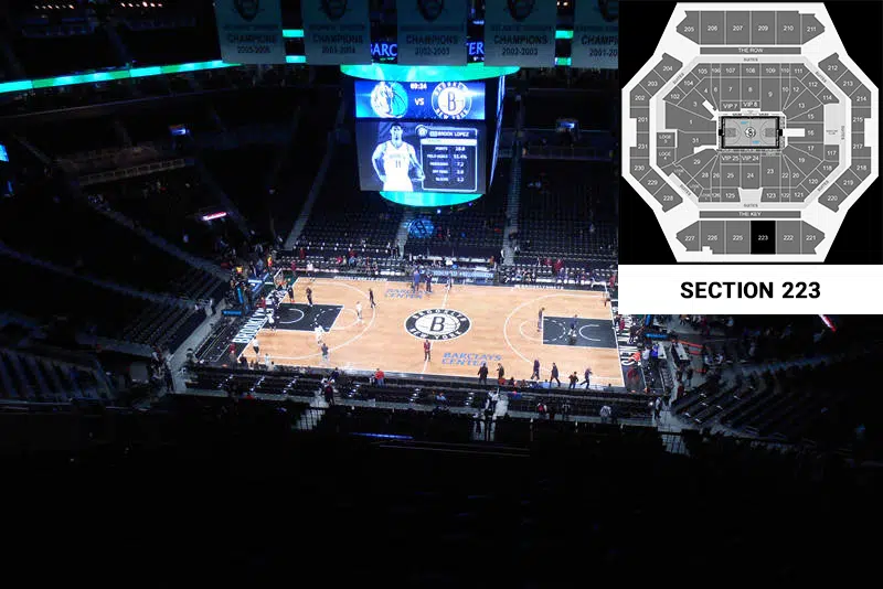 Section 223