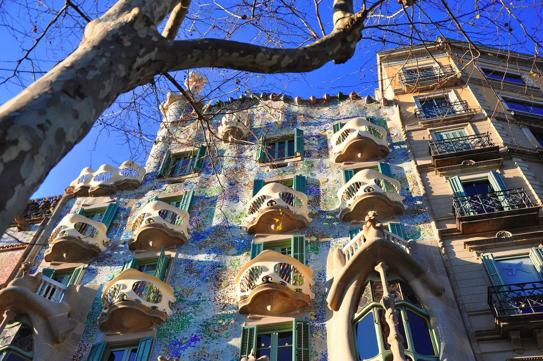 Casa Battlo Maison Gaudi à Barcelone