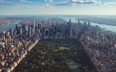 Vue de Central Park depuis Top Of The Rock