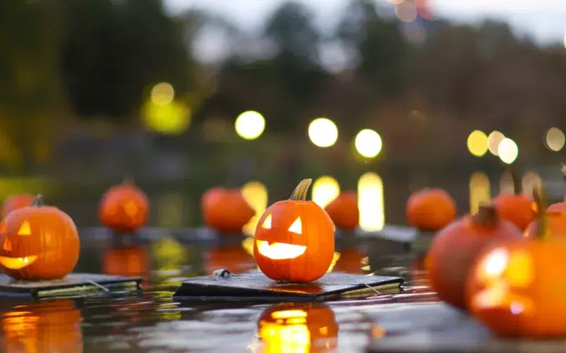 Pumpkin Flotilla Central Park