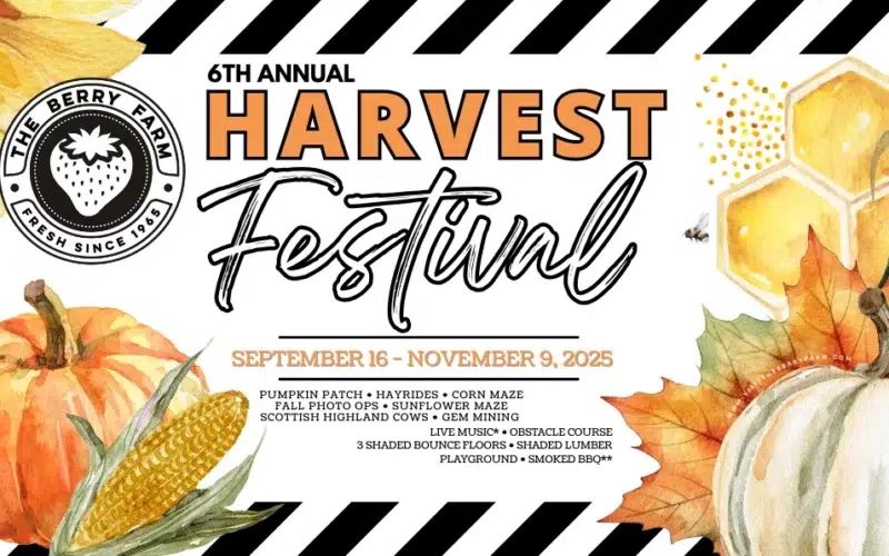 harvest festival miami