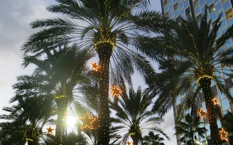 Noel en floride