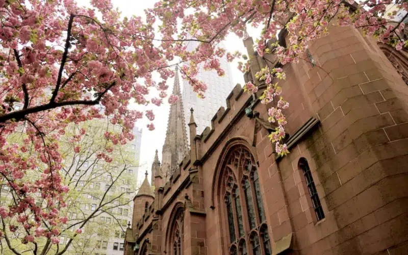 Trinity Church, que faire dans le quartier de Financial District