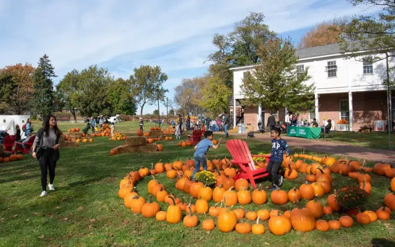 Governors Island - halloween New York