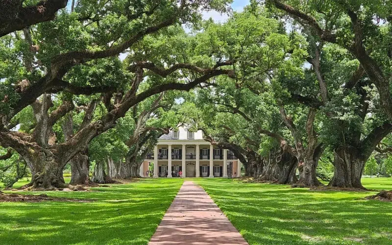 Oak Alley - plantation de Louisiane