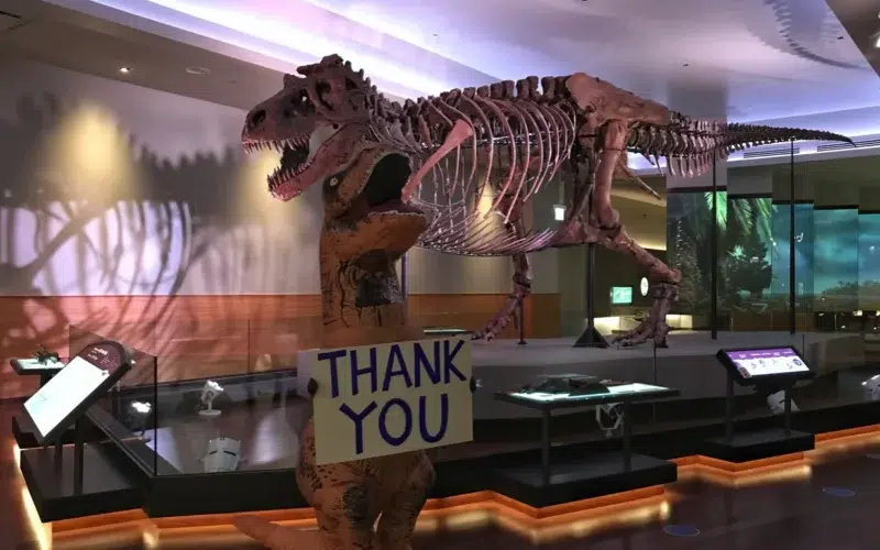 Field Museum Chicago - exposition SUE